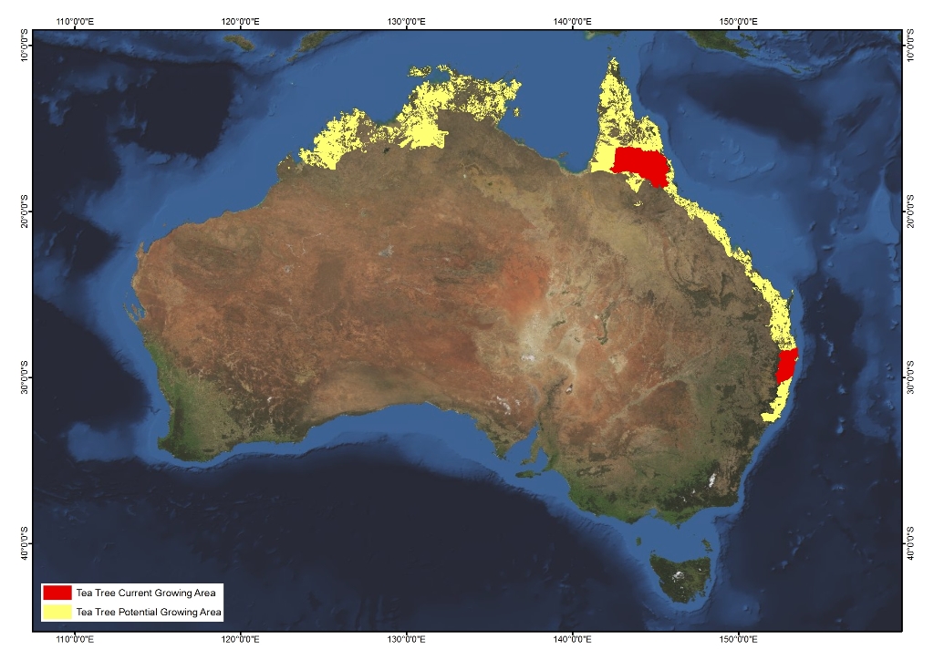 Tea Tree oil AgriFutures Australia