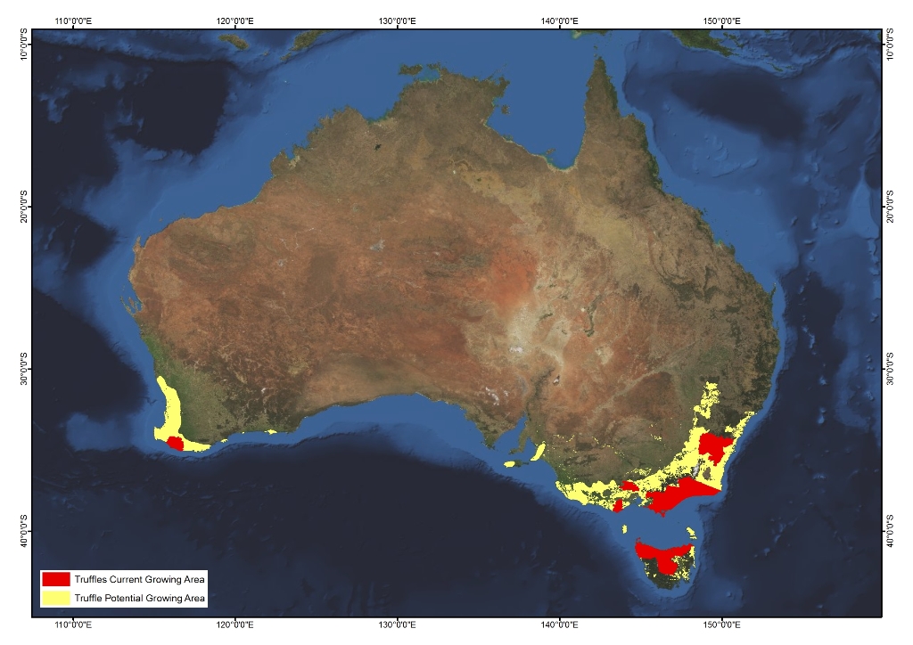 Truffles AgriFutures Australia