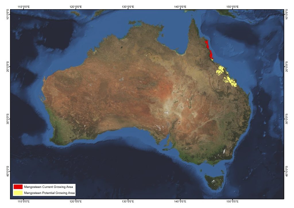 Mangosteen AgriFutures Australia