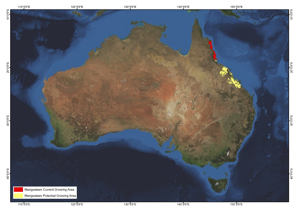Mangosteen AgriFutures Australia