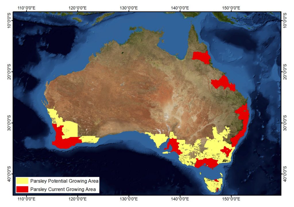 Parsley AgriFutures Australia