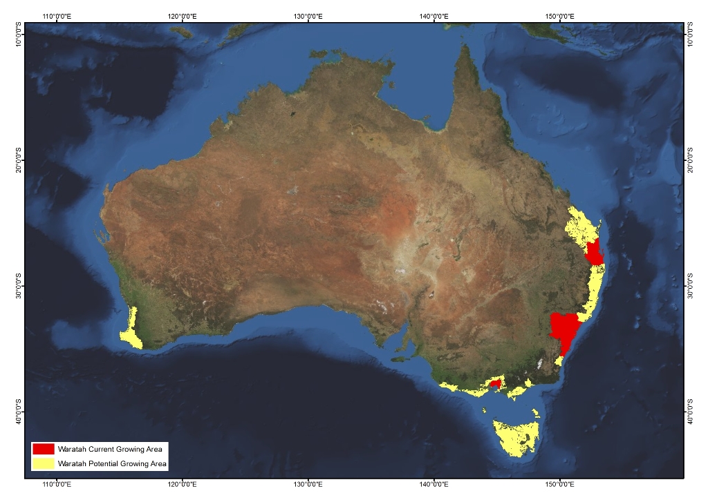 Waratah AgriFutures Australia