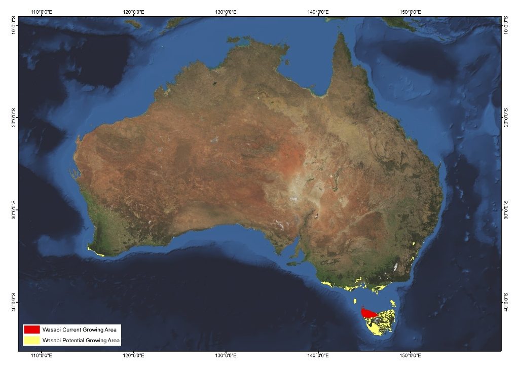 Wasabi AgriFutures Australia