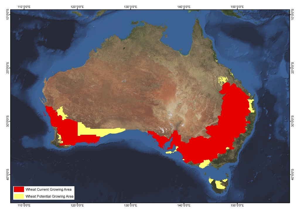 Wheat AgriFutures Australia