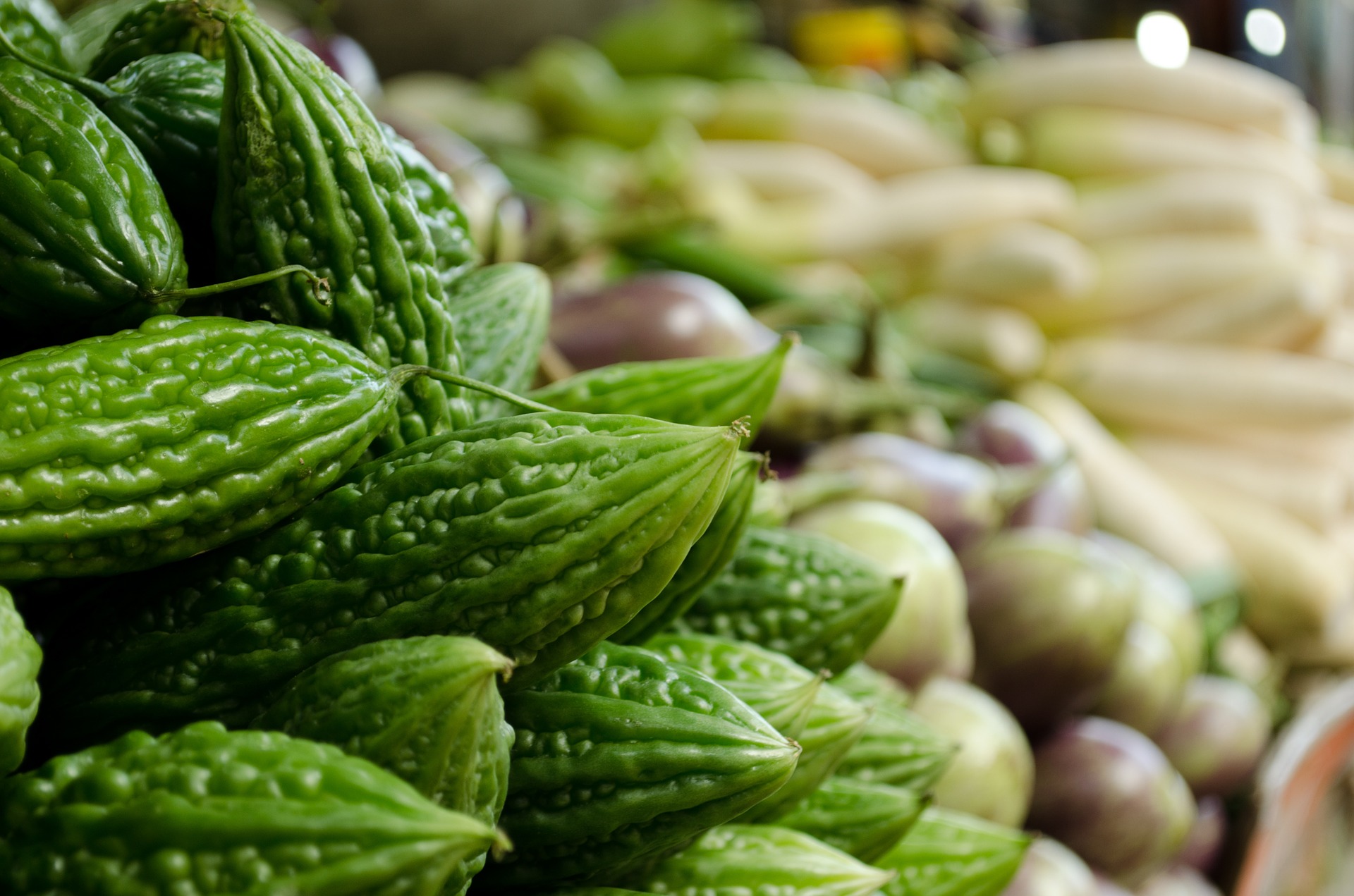 Bitter Melon AgriFutures Australia