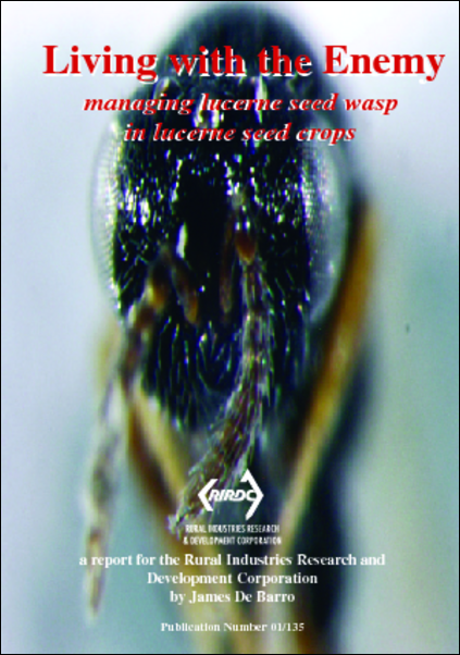 Living with the enemy Managing Lucerne seed wasp in lucerne seed crop - image