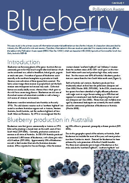 Blueberry bush care image