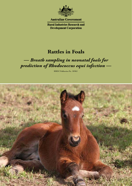 Rattles in Foals: Breath sampling in neonatal foals for prediction of Rhodococcus equi infection - image
