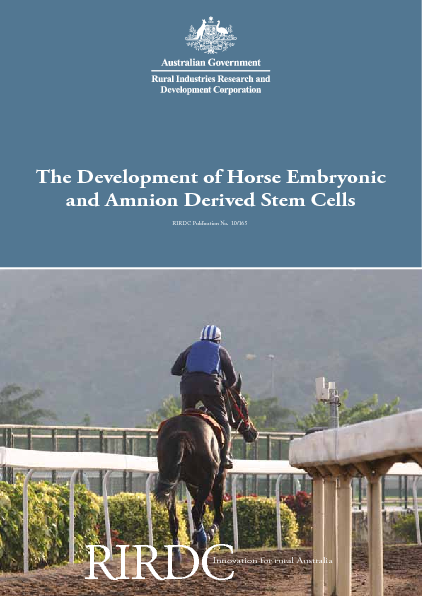 The Development of Horse Embryonic and Amnion Derived Stem Cells - image