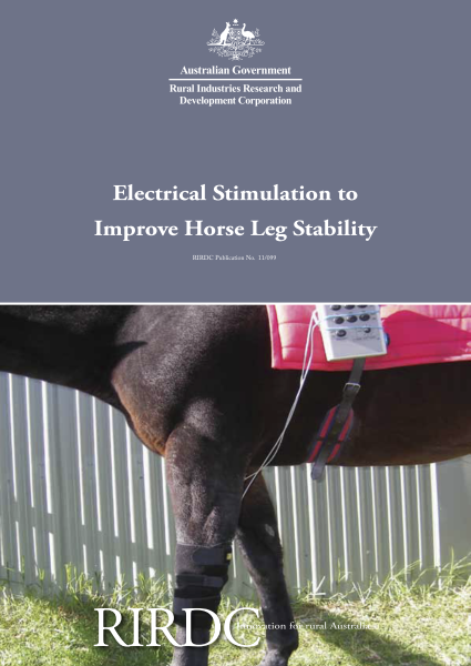 Electrical Stimulation to Improve Horse Leg Stability - image