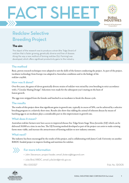 Redclaw selective breeding project - fact sheet - image
