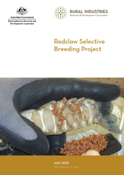 Redclaw Selective Breeding Project - image