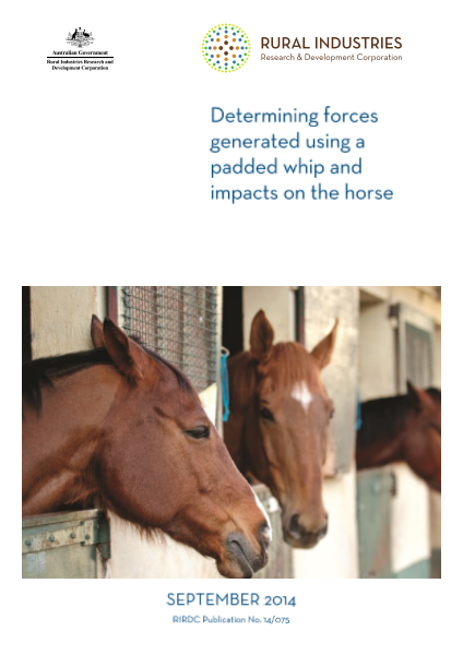 Determining forces generated using a padded whip and impacts on the horse - image