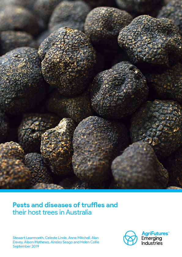 Pests and diseases of truffles and their host trees in Australia - image