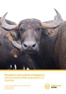 Parasitism and control strategies in domesticated buffalo populations of Australia - image