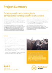 Project summary: Parasitism and control strategies in domesticated buffalo populations of Australia - image