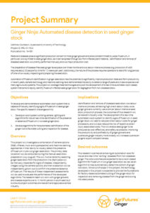 Project summary: Ginger Ninja - Automated disease detection in seed ginger stock - image