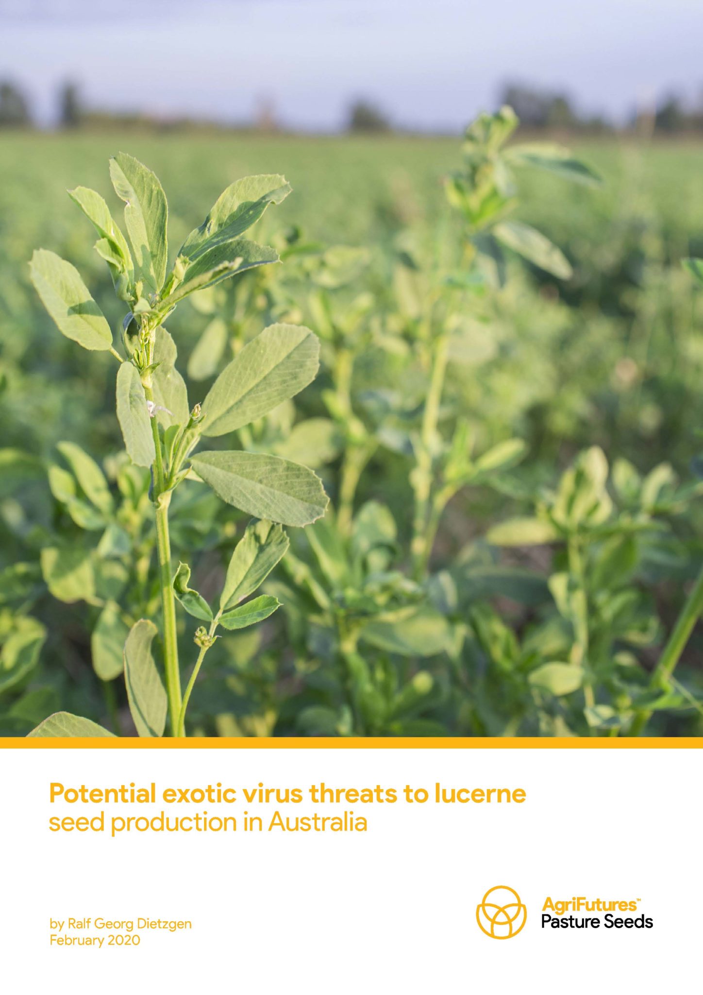 Potential exotic virus threats to lucerne seed production in Australia - image
