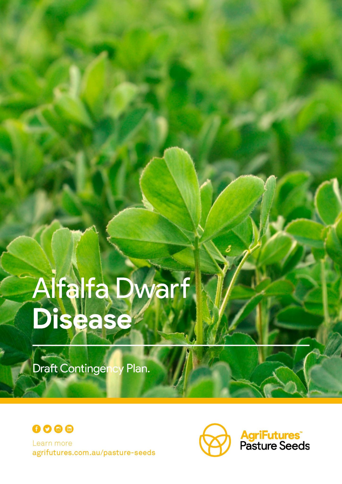 Alfalfa Dwarf Disease - Draft Contingency Plan - image