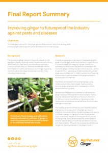 Final Report Summary: Improving ginger to futureproof the industry against pests and diseases - image