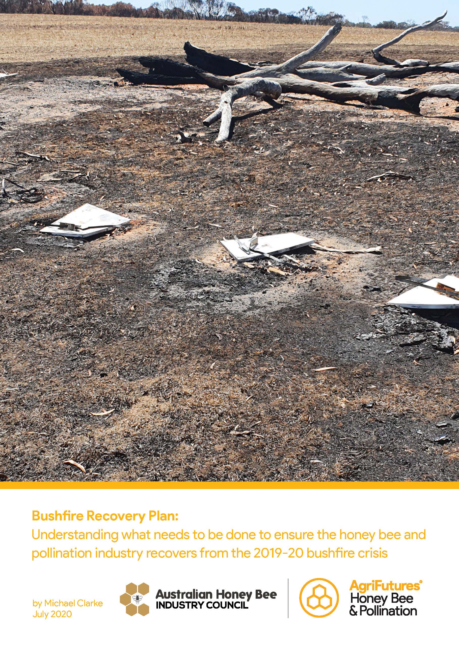 Bushfire Recovery Plan: Understanding what needs to be done to ensure the honey bee and pollination industry recovers from the 2019-20 bushfire crisis - image