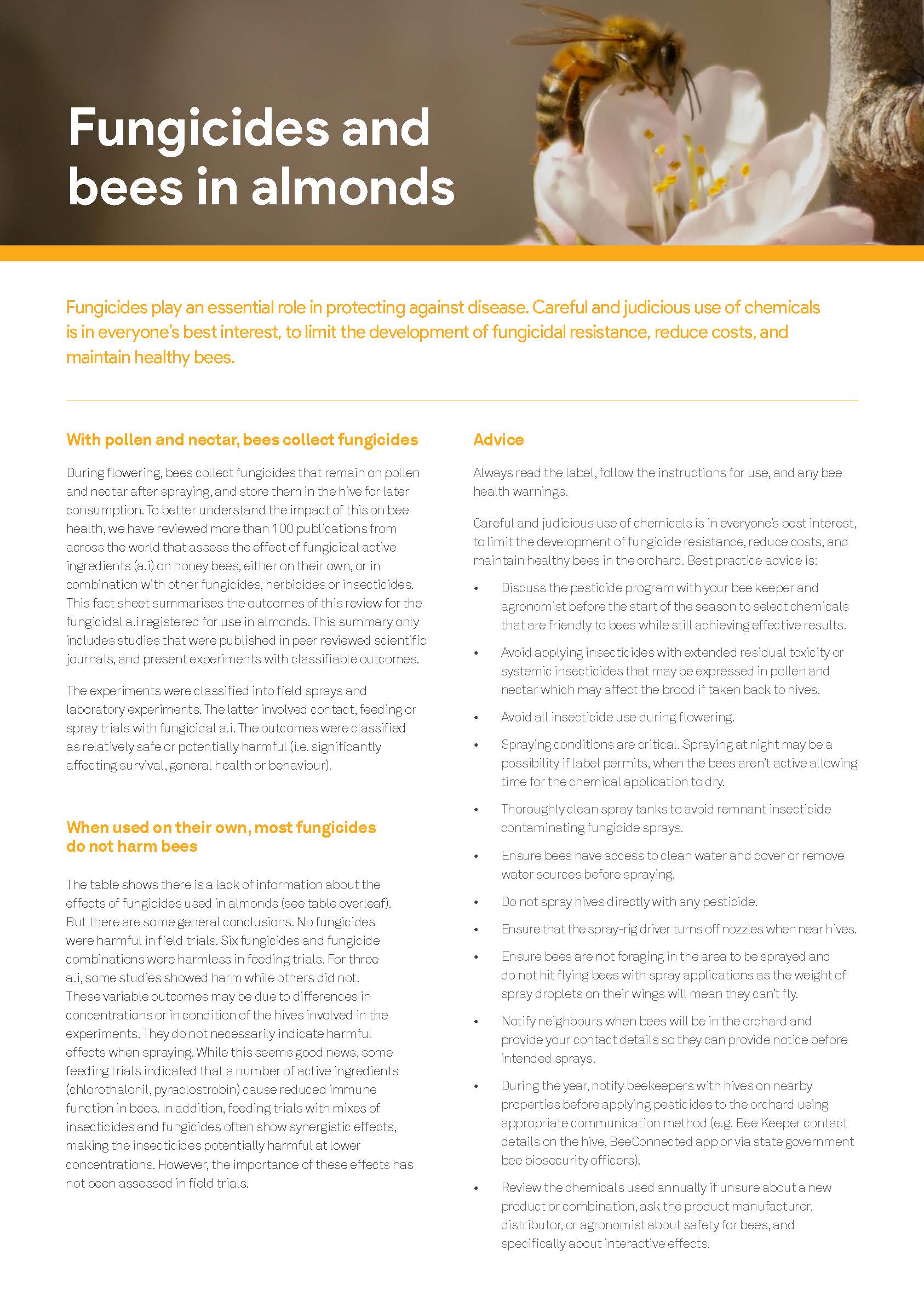 Fungicides and bees in almonds - image