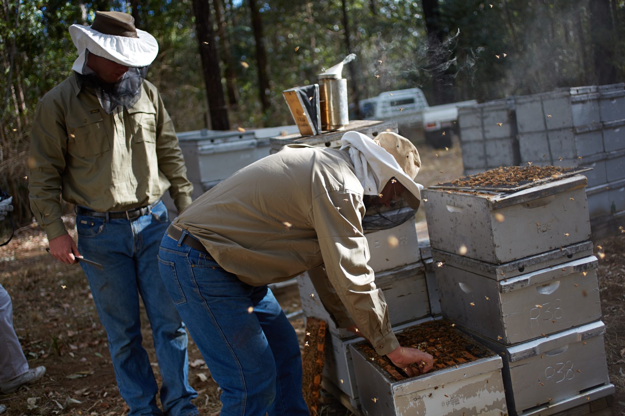 Beekeepers tending to their hives