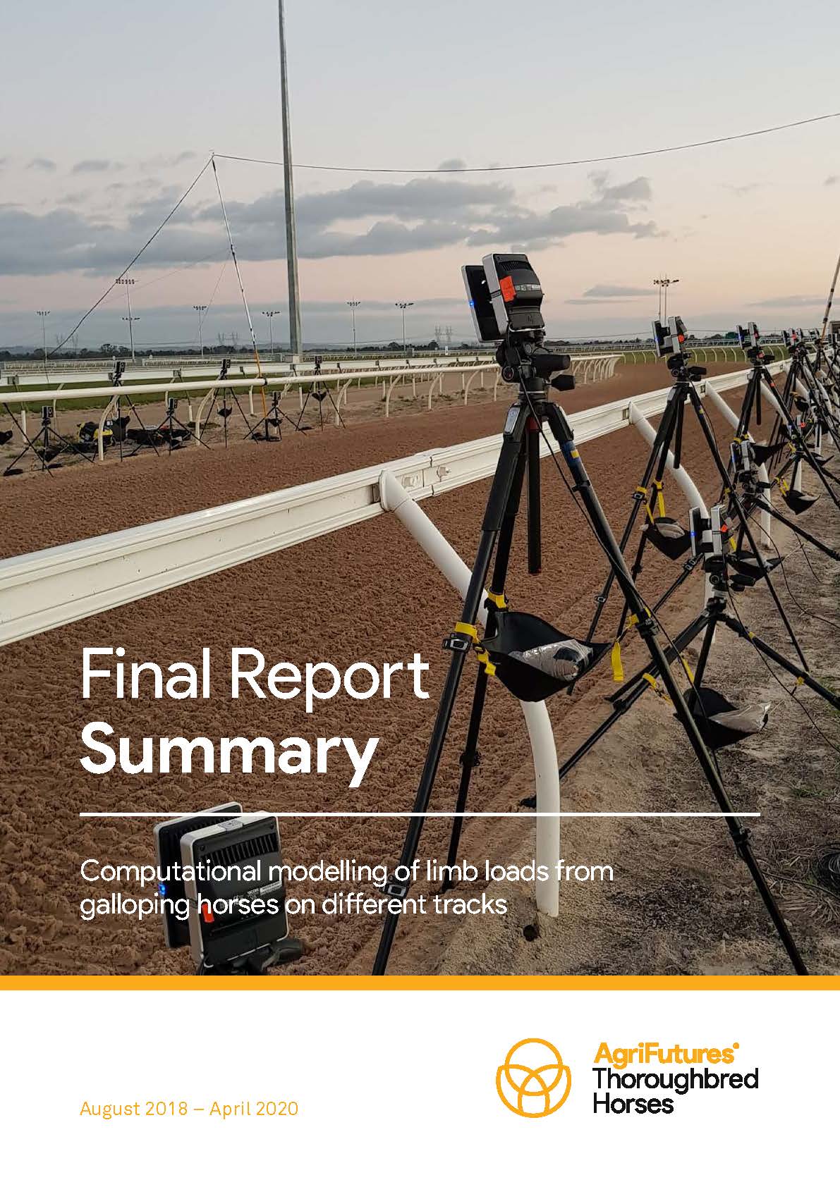 Final Report Summary: Computational modelling of limb loads from galloping horses on different tracks - image