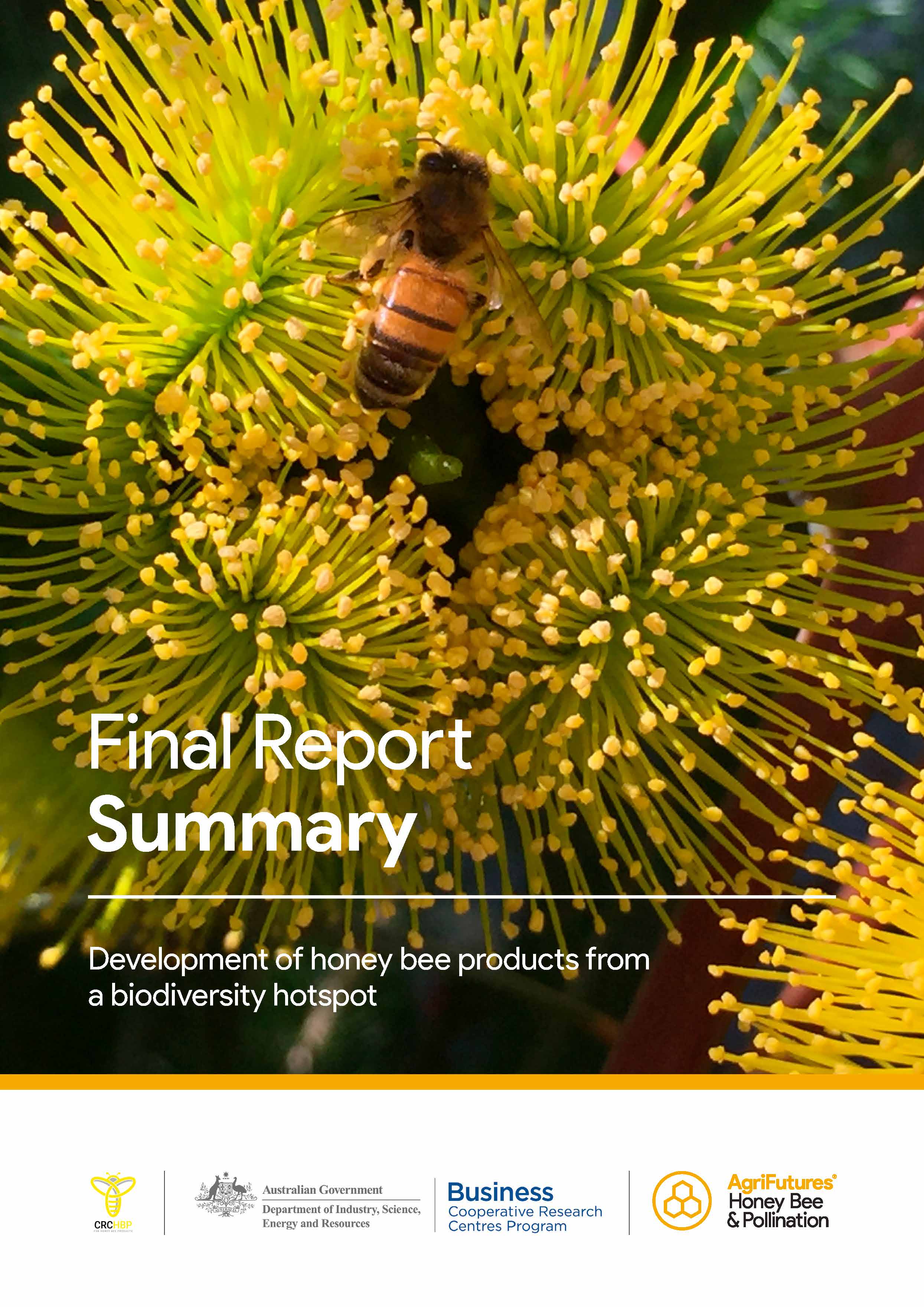 Final Report Summary: Development of honey bee products from a biodiversity hotspot - image