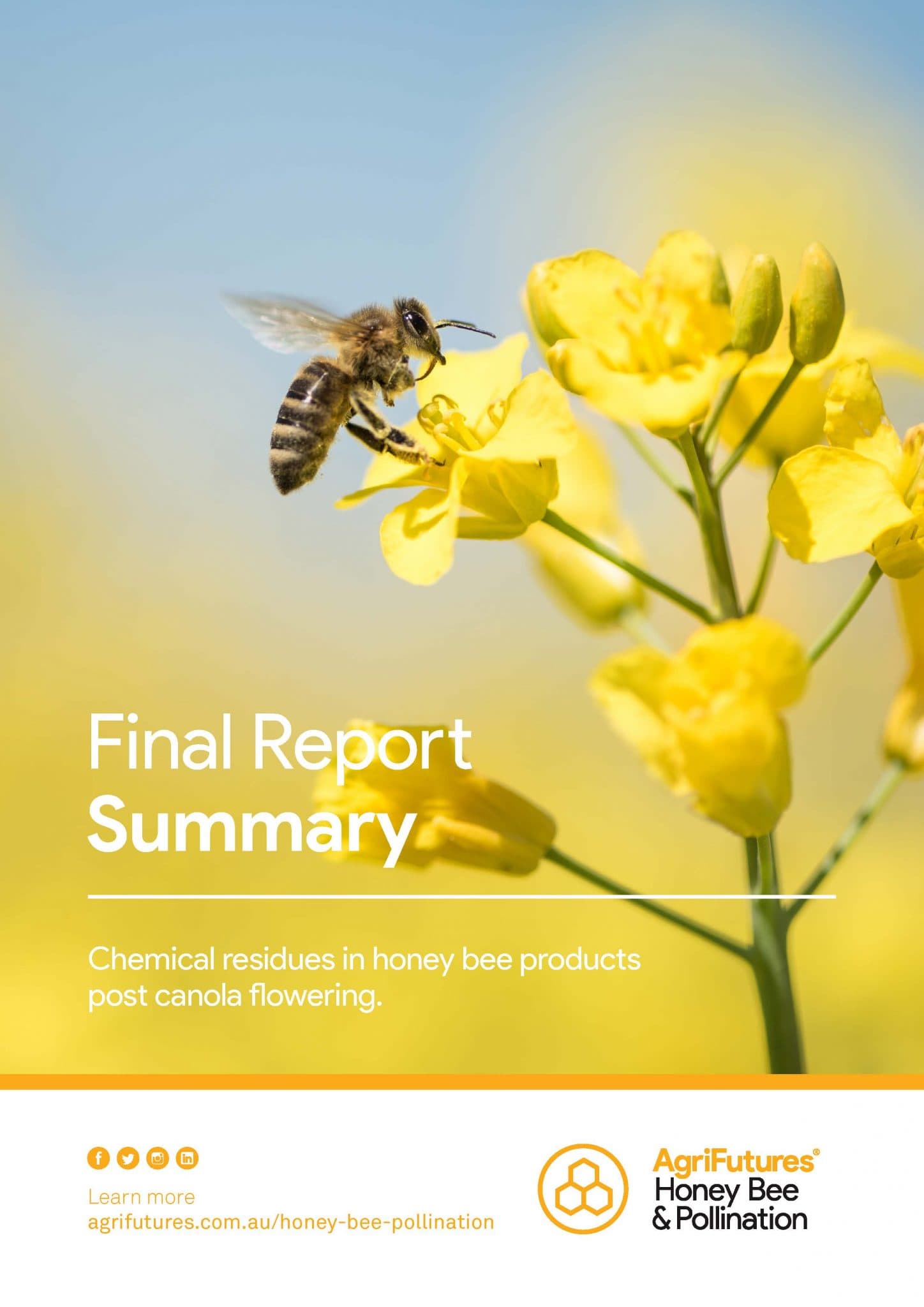 Final report summary: Chemical residues in honey bee products post canola flowering - image