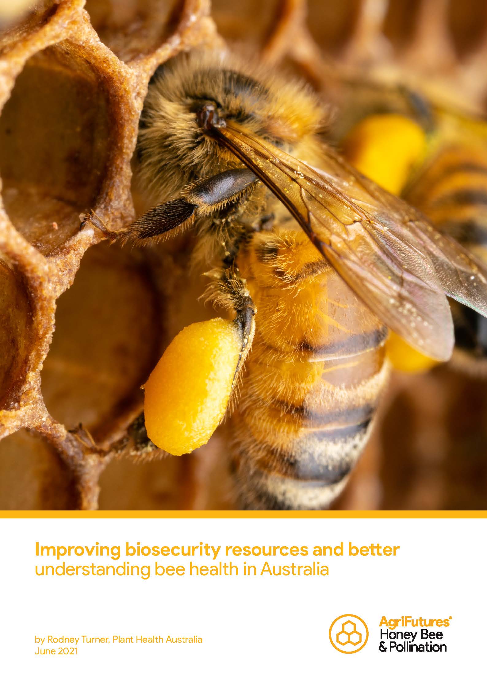 Final report: Improving biosecurity resources and better understanding bee health in Australia - image