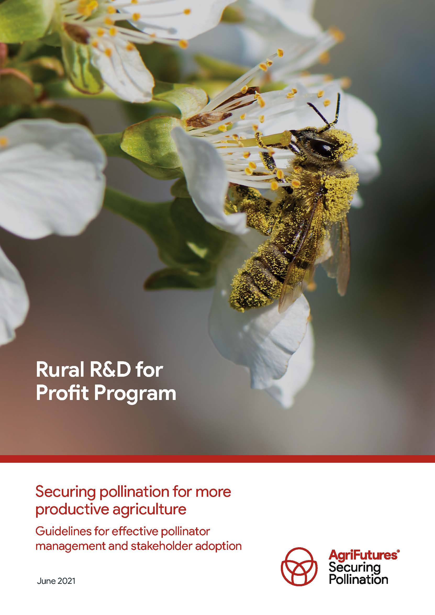 Securing pollination for more productive agriculture: Guidelines for effective pollinator management and stakeholder adoption - image
