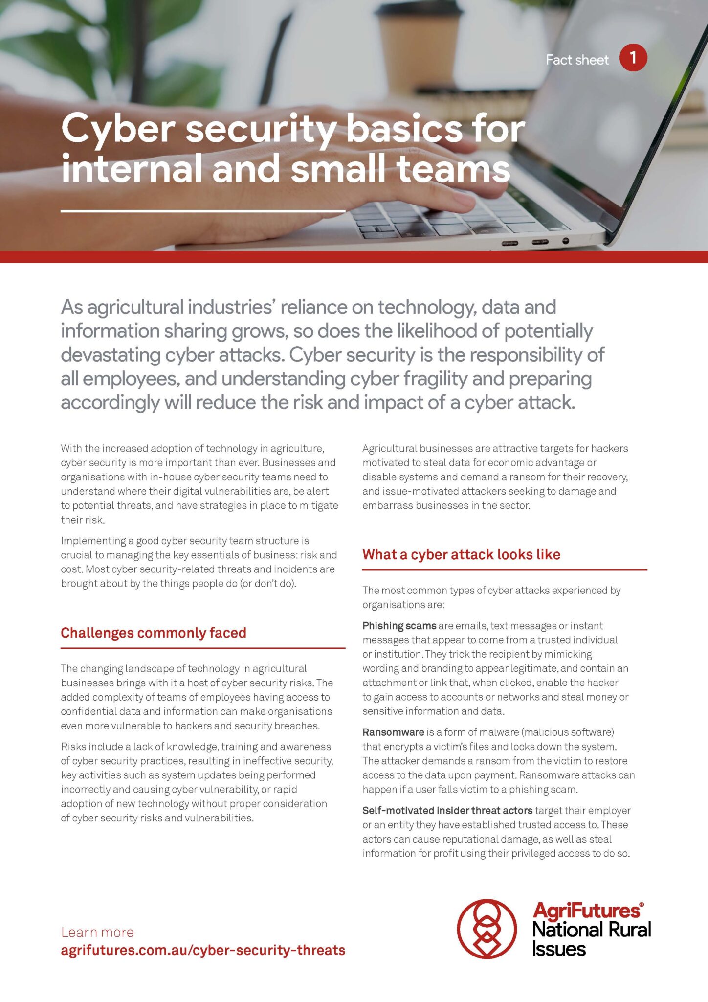 Fact sheet: Cyber security basics for internal and small teams - image