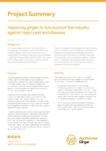 Project overview: Improving ginger, to future proof the industry against major pest and diseases - image
