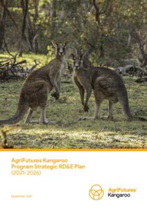 AgriFutures Kangaroo Program Strategic RD&E Plan (2021-2026) - image