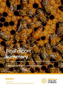 Final report summary: A pheromone trap to catch queen bees - image