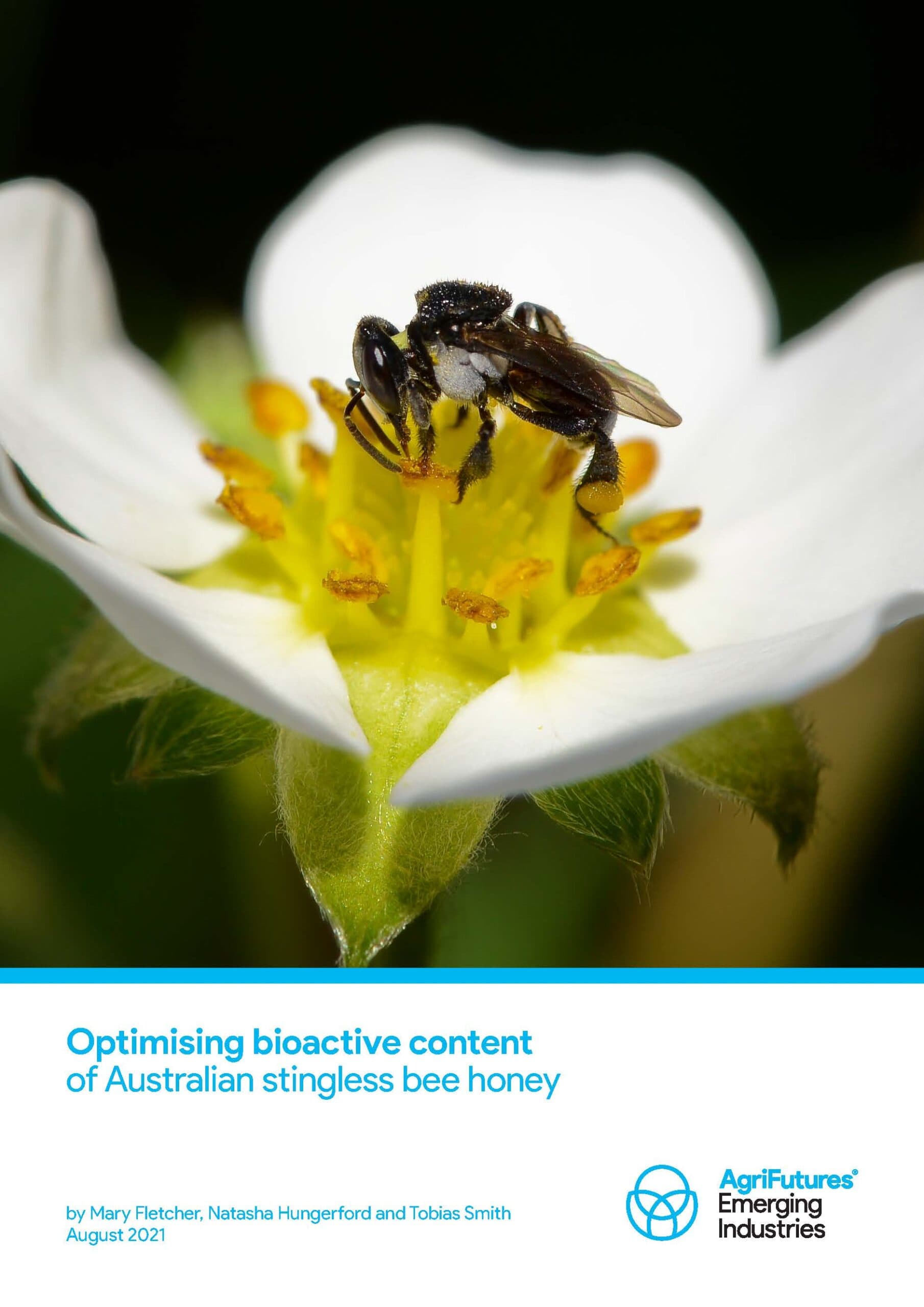 Optimising bioactive content of Australian stingless bee honey - image
