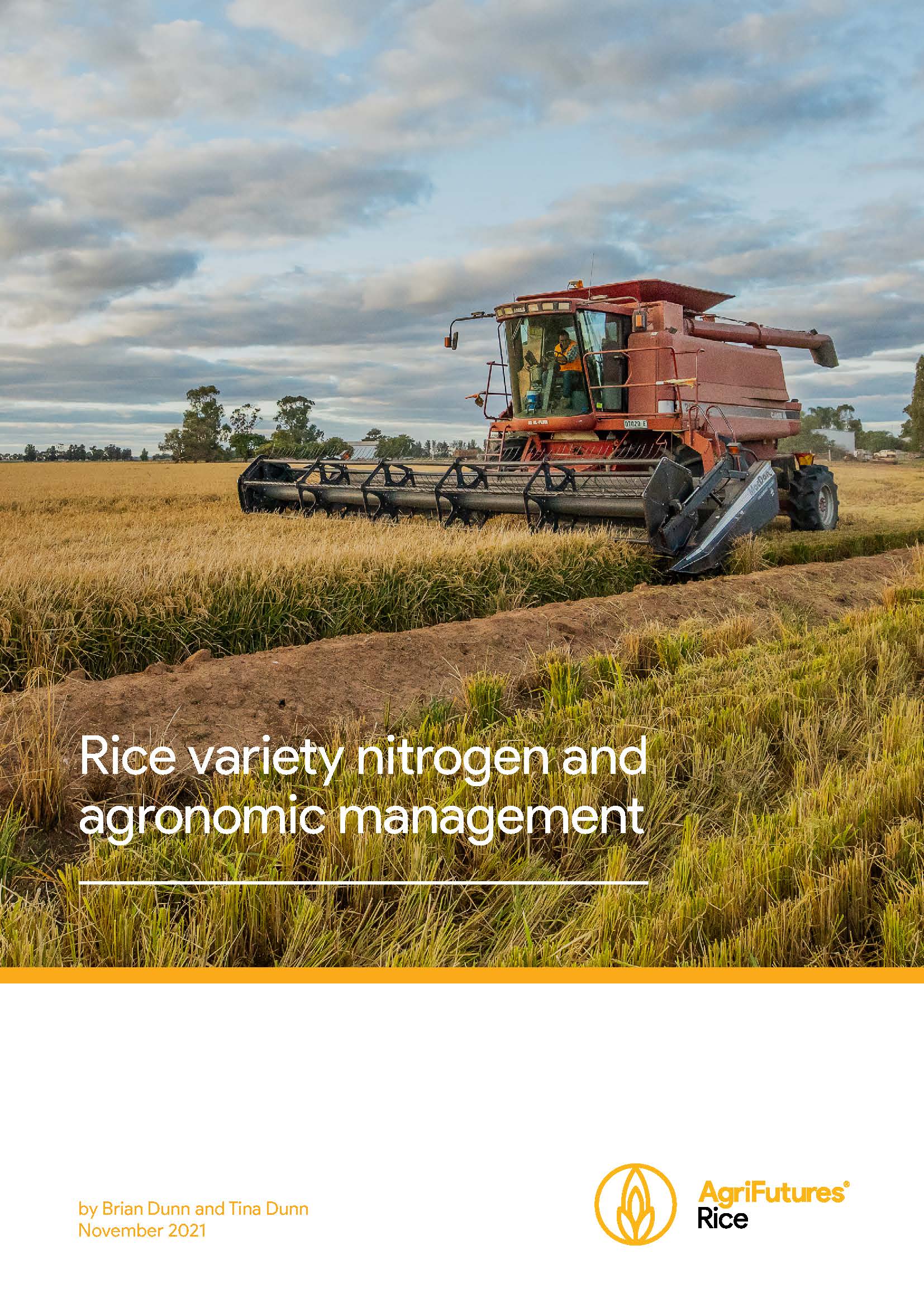 Rice variety nitrogen and agronomic management - image