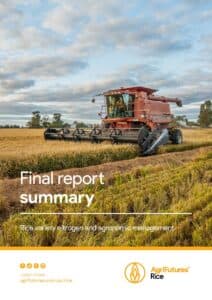 Final report summary: Rice variety nitrogen and agronomic management - image