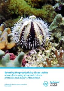 Boosting the productivity of sea urchin aquaculture using advanced culture protocols and dietary intervention - image