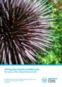 Solving key industry bottlenecks for sea urchin roe enhancement - image