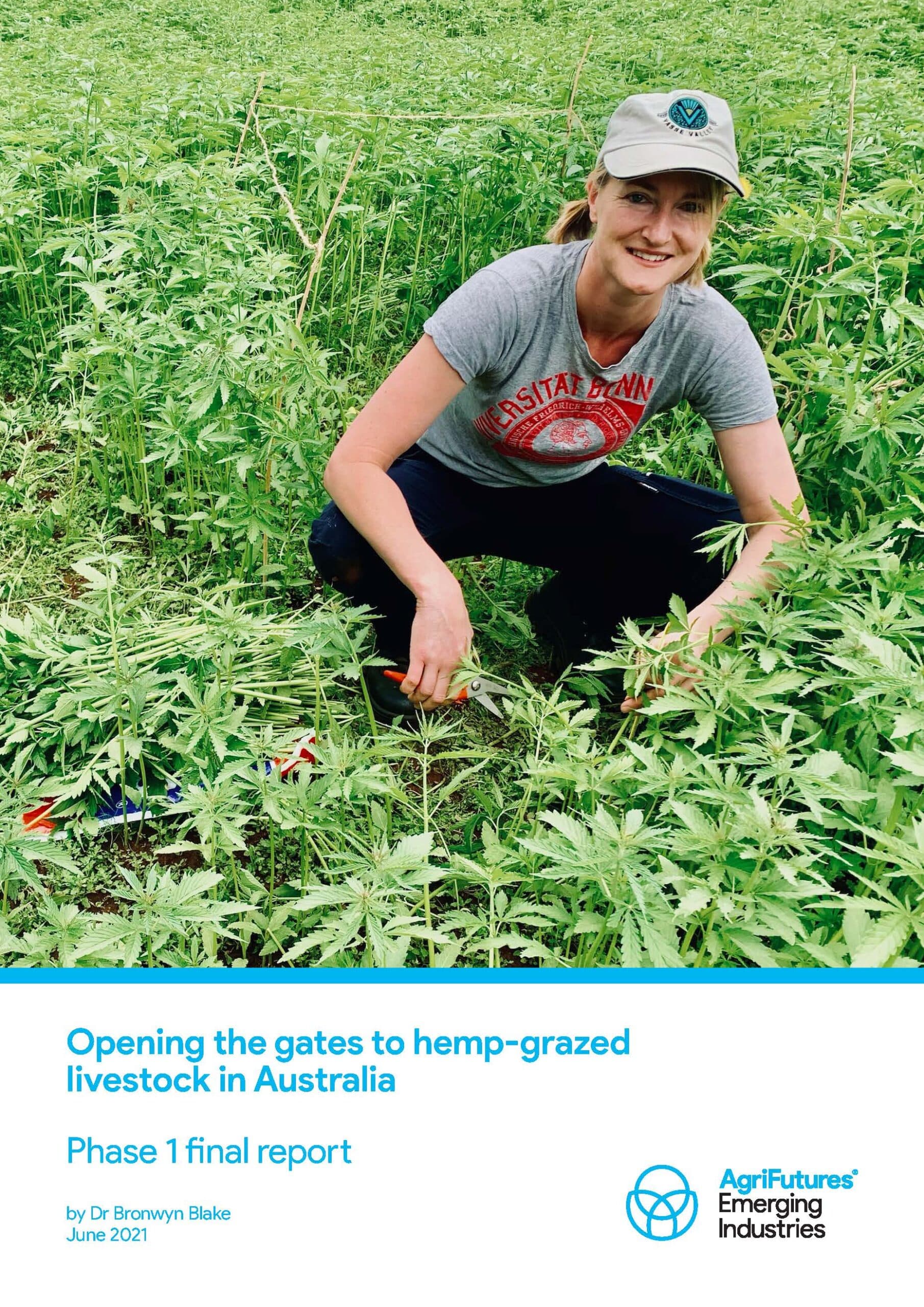 Opening the gates to hemp-grazed livestock in Australia - image