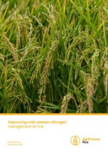 Improving mid-season nitrogen management of rice - image