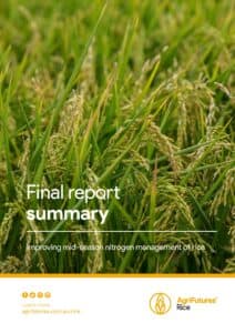 Final report summary: Improving mid-season nitrogen management of rice - image