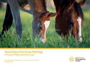 Visual Atlas of the Gross Pathology of Equine Reproductive Loss - image