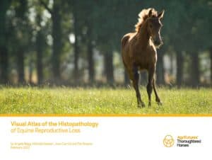Visual Atlas of the Histopathology of Equine Reproductive Loss - image
