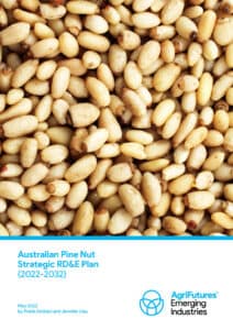 Australian Pine Nut Strategic RD&E Plan (2022-2032) - image