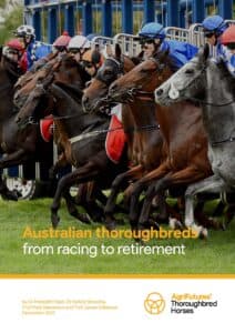Australian thoroughbreds: From racing to retirement - image