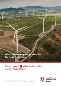 Alternative energy opportunities for rural industries: Short report 1 - What is alternative energy technology? - image