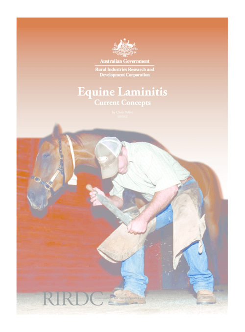 Equine Laminitis - Current concepts - image
